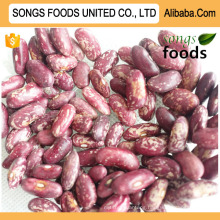 Good light speckled kidney beans In packing 25kg Polywoven Bags